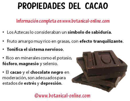 propiedades cacao amargo