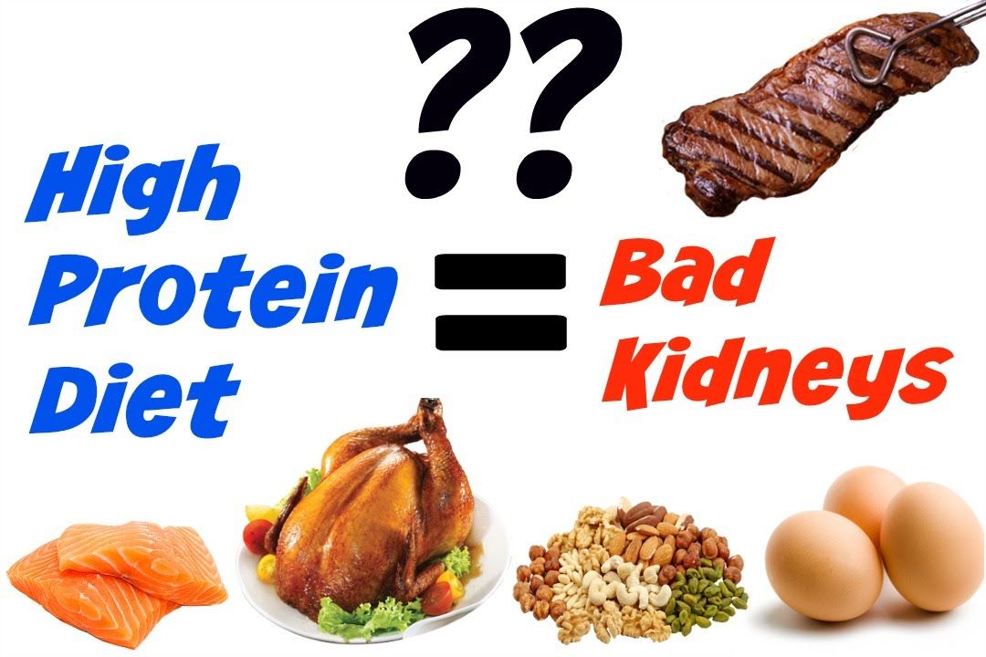 How To Help Your Kidneys When On A High Protein Diet