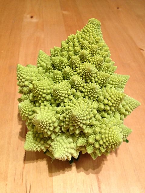 世界一美しい野菜 ロマネスコ 茹でるだけで 豪華な食卓に ロマネスコ 野菜 カリフラワー 世界一美しい野菜 ロマネスコ 茹でるだけで 豪華な食卓に ロマネスコ 野菜 カリフラワー