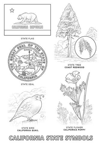 California State Symbols coloring page | Free Printable Coloring Pages