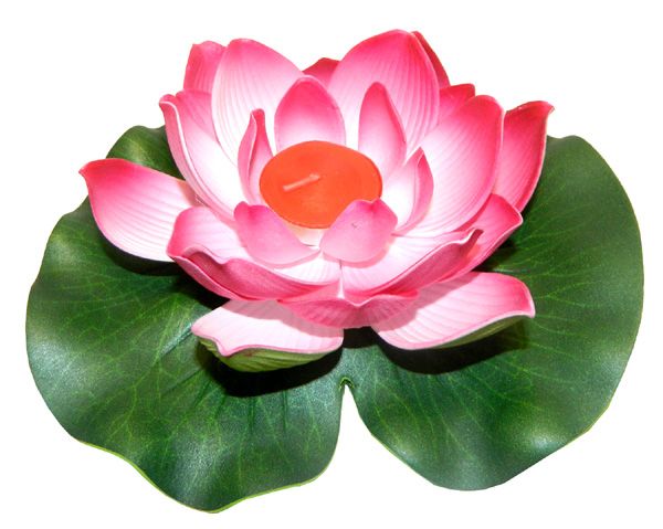 lotus flower paper lantern