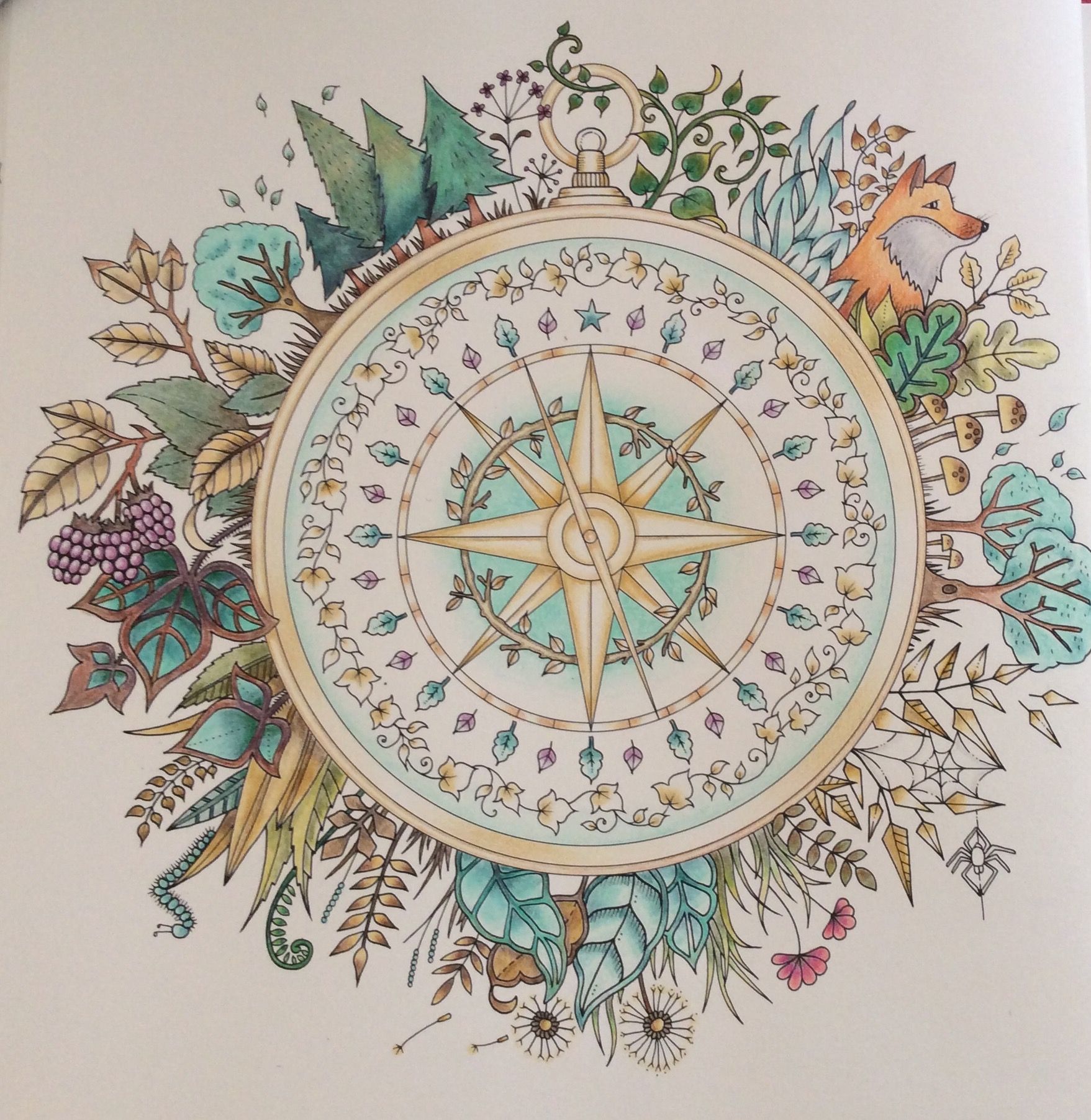 Enchanted Forest Coloring Book By Johanna Basford The Compass