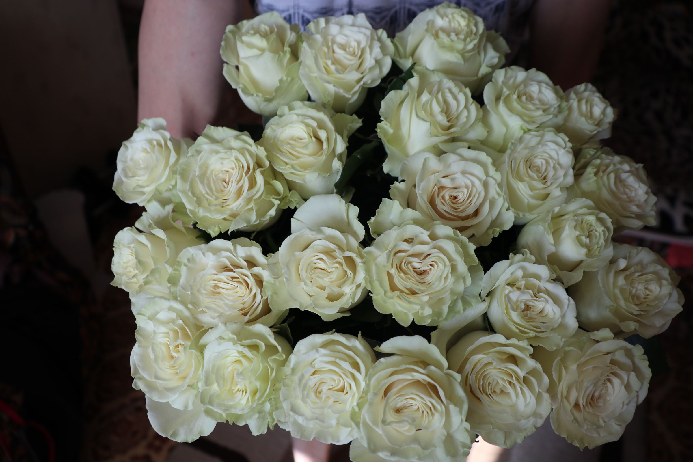 Maxi, Flowers, Royal Icing Flowers, Flower, Florals, Floral, Blossoms