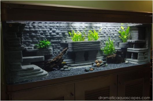 #aquascapes #background #dramatic #aquarium #diyDramatic AquaScapes - DIY Aquarium Background
