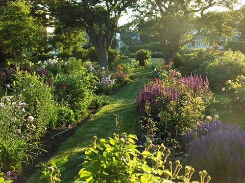Perennial Garden In Late Afternoon - Contemporary - Landscape Perennial garden in late afternoon - contemporary - landscape - portland maine - Ann Kearsley Design - Perennial Garden In Late Afternoon - Contemporary - Landscape