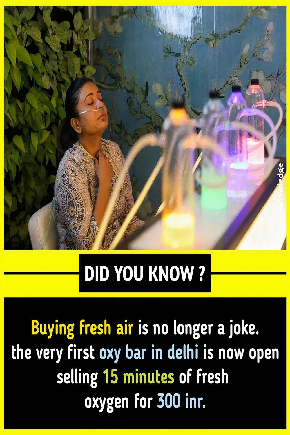 27+ Interesting facts you should know ideas