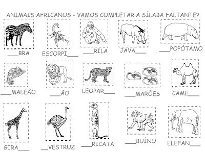 Blog da Delma: Animais Africanos | Animais africanos, Animais ...