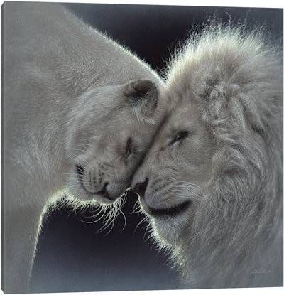 white lion регистрация white lion регистрация