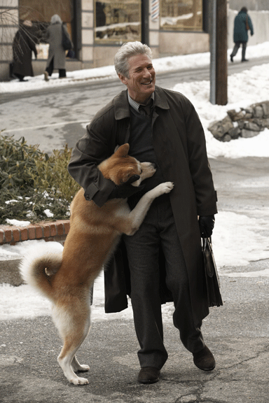 Hachi A Dogs Tale Pinterest Hachi A Dog S Talerichard Gere Movie Hachi A Dogs Tale Pinterest Hachi A Dog S Talerichard Gere Movie