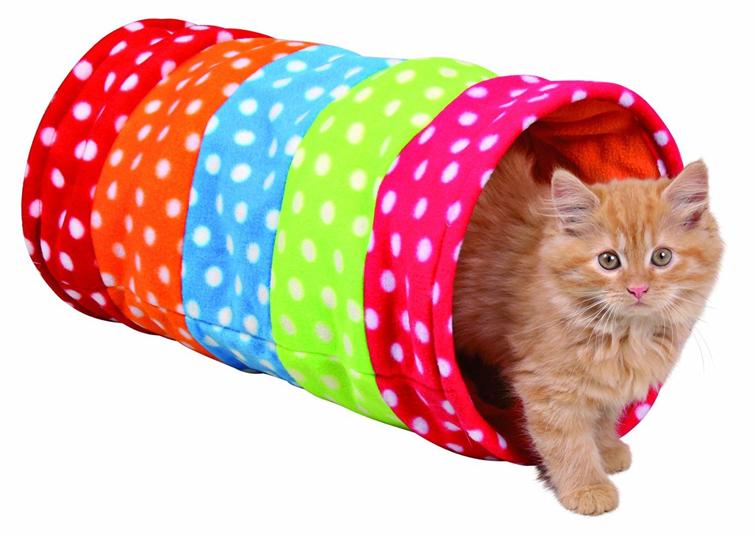 Arche Feline Tunnel Pour Chaton Amazon Fr Animalerie Cats And Kittens Cat Pet Supplies Kittens Playing Arche Feline Tunnel Pour Chaton Amazon Fr Animalerie Cats And Kittens Cat Pet Supplies Kittens Playing