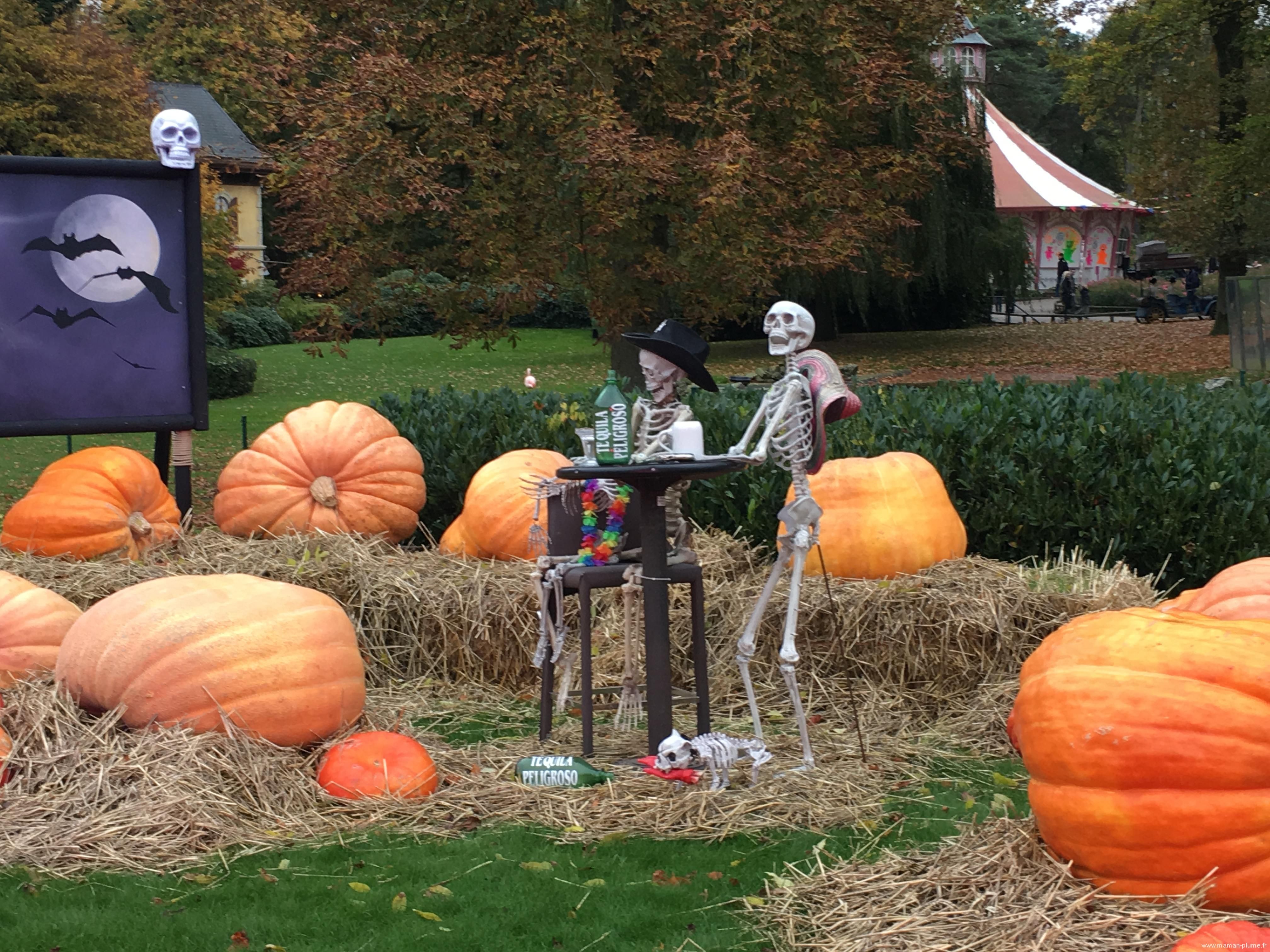 halloween-bellewaerde | Mode halloween, Halloween, Enfant