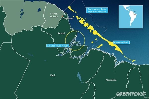 The Amazon Reef Brazil S Newly Discovered And Already Threatened