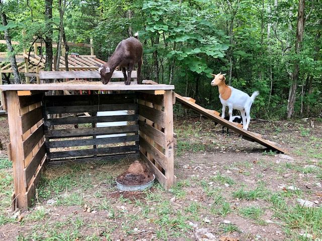 DIY Goat Playhouse & Shelter - The Little Frugal House Sheep Shelter, Goat Shelter, Horse Shelter, Raising Farm Animals, Raising Goats, Pygmy Goat Pen, Pygmy Goat House, Shelter Architecture, Goat Fence