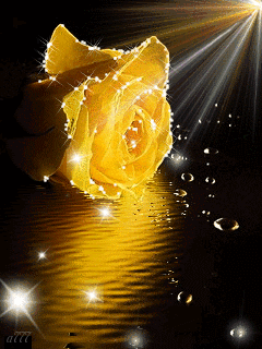 March, the month of Awareness 💛 | Beautiful flowers pictures, Flower pictures, Flowers gif