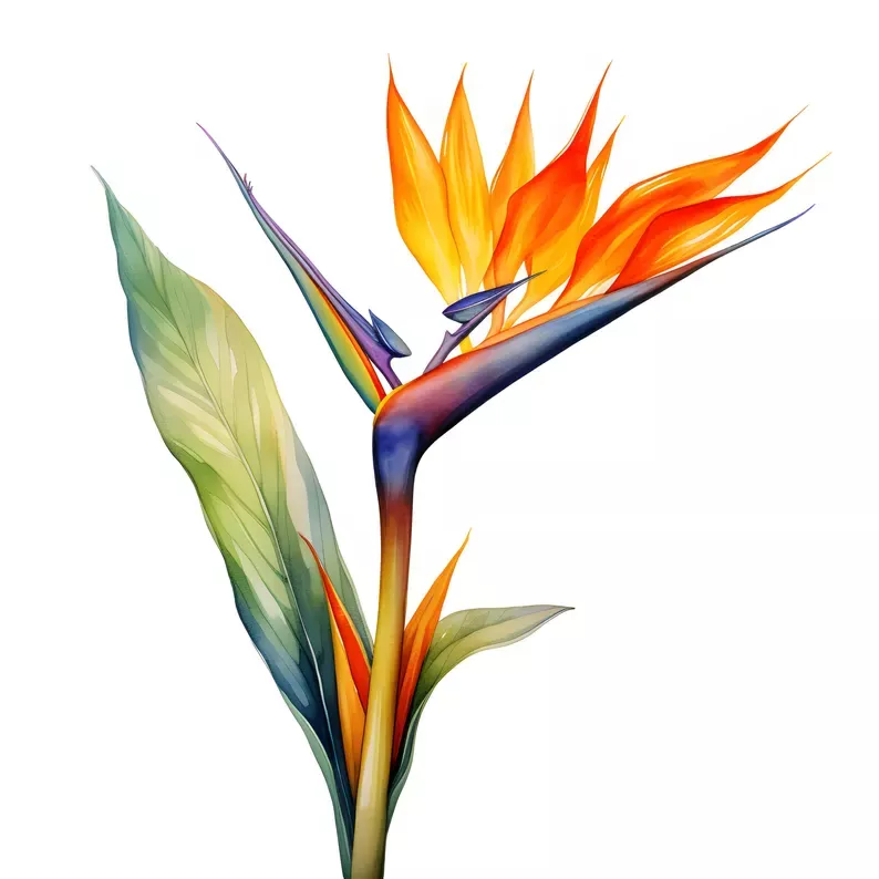 Pin By Jessica M Sching On Design In 2025 Floral Painting Birds Of A87ae62a7ca2acf639a66ac057245c66.webp