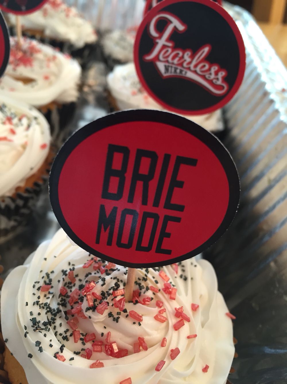 For that wwe bella twins birthday that interfere Wwe bella twins birthday remarkable, valuable