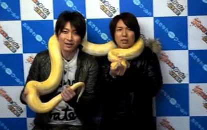 Dgs組 おしゃれまとめの人気アイデア Pinterest Rhoslyn Endor 神谷浩史 小野大輔 声優