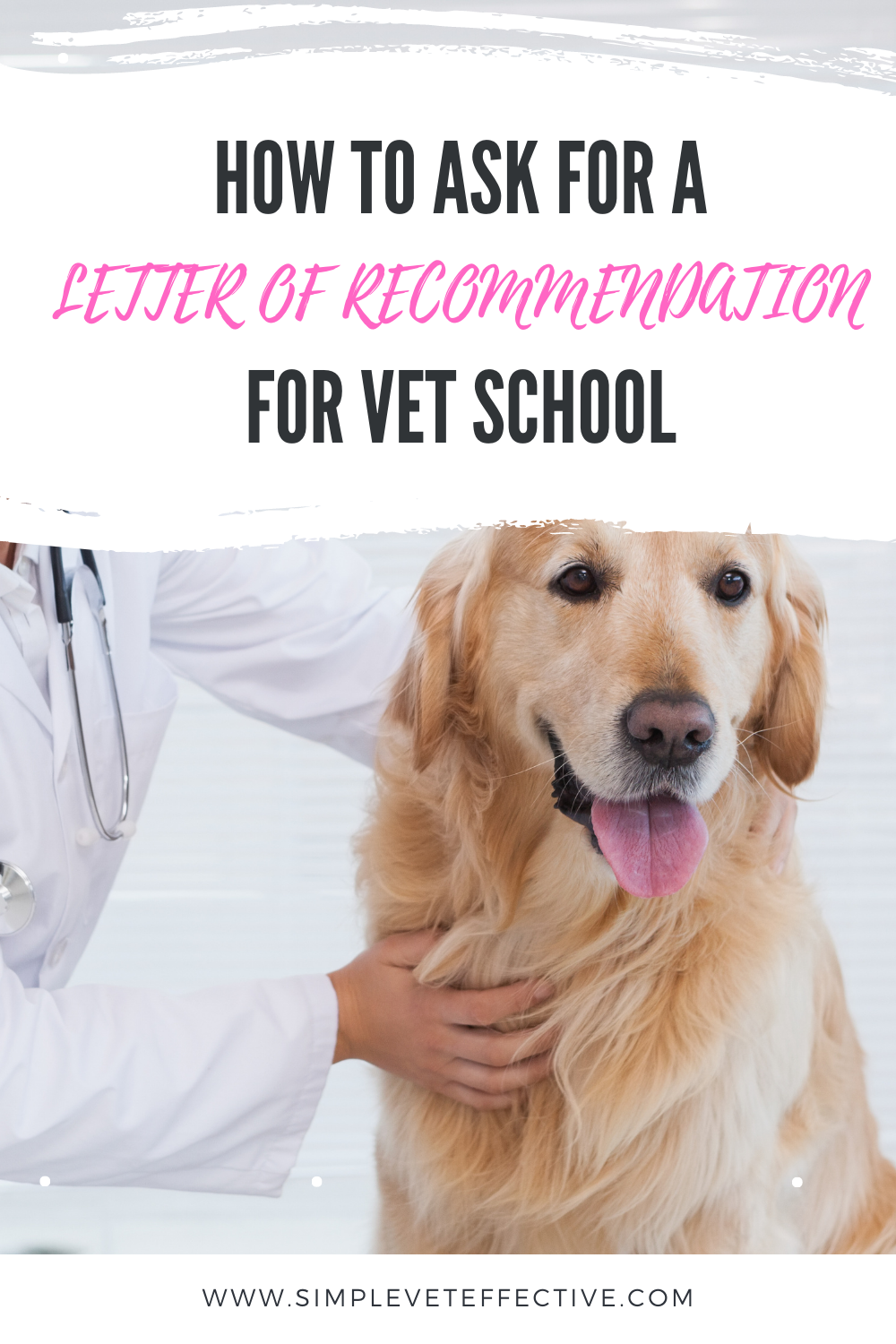 how-to-ask-for-a-letter-of-recommendation-for-vet-school-vet-school