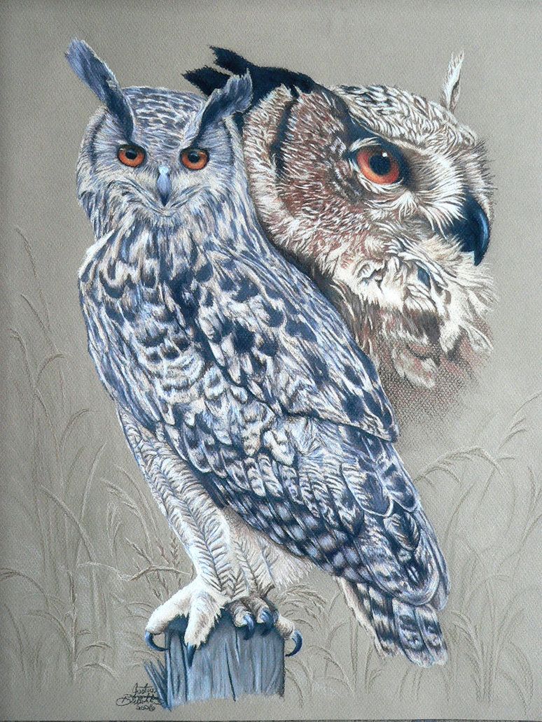 Drawing Eagles Hawks And Owls 25 Eagle Owl Acabou por FreedomSparrow3 on deviantART Owl