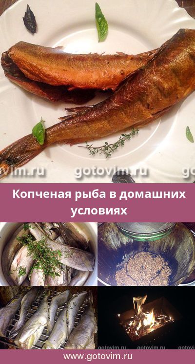Копченая рыба в домашних условиях. Рецепт с фoto #рыба Riba, Fish And Seafood, Food And Drink, Ethnic Recipes, Pisces, Essen