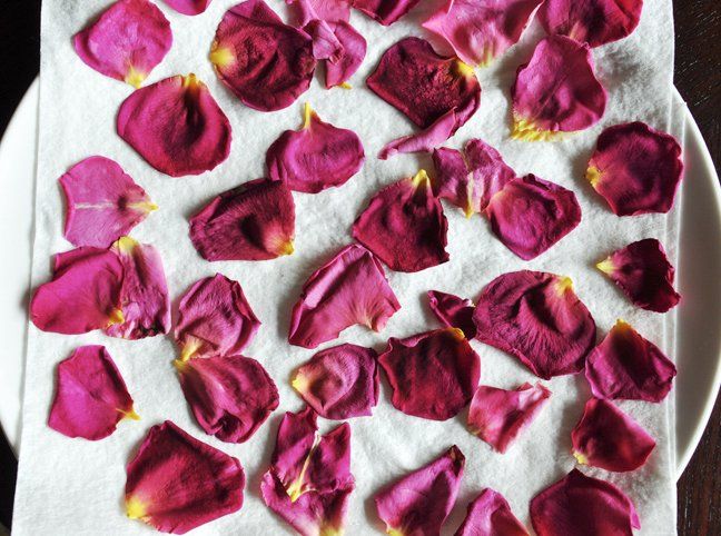 Drying Rose Petals the Right Way Rose petals craft