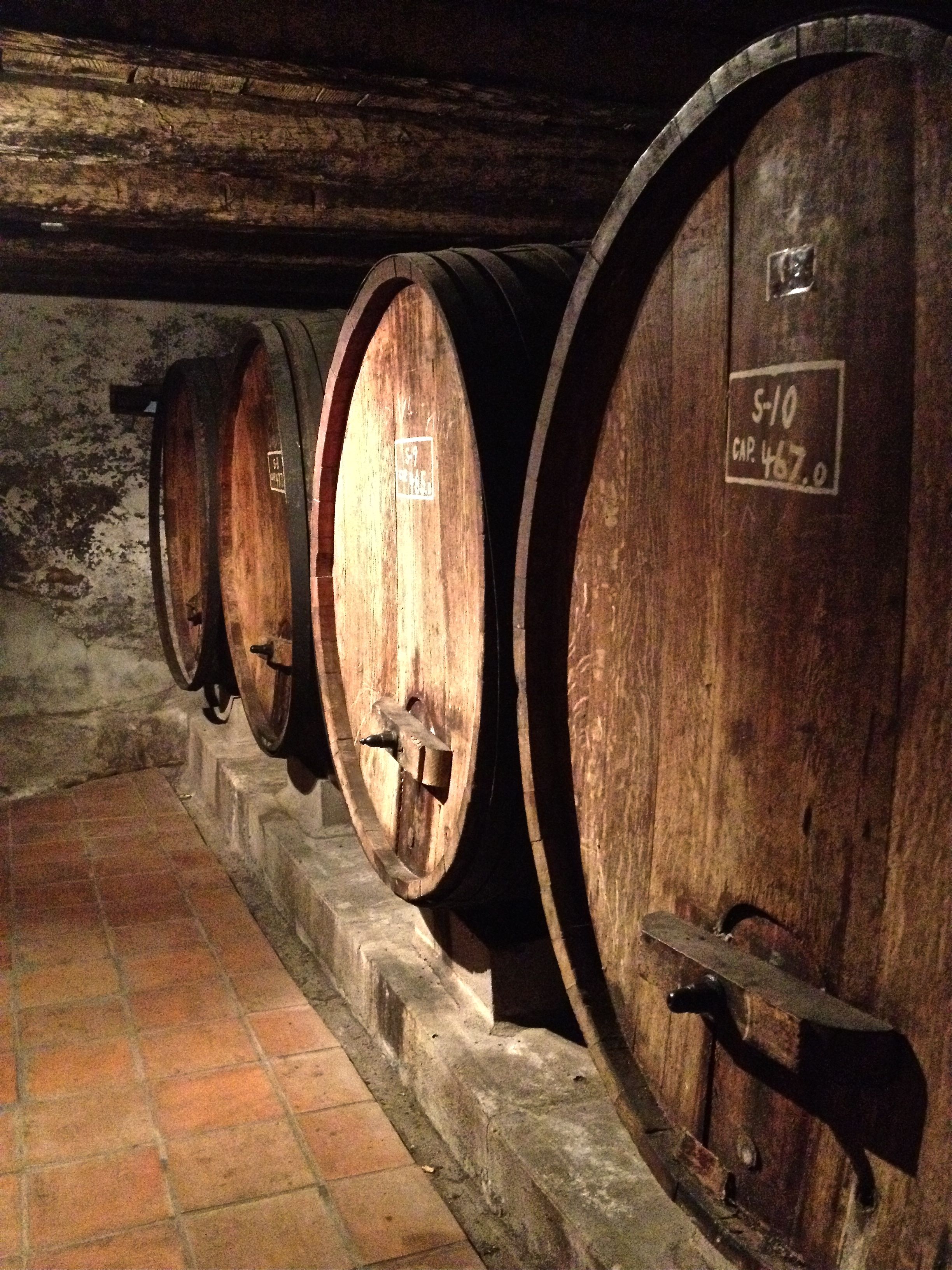 Amador wine county tours are great for birthday parties or even to just