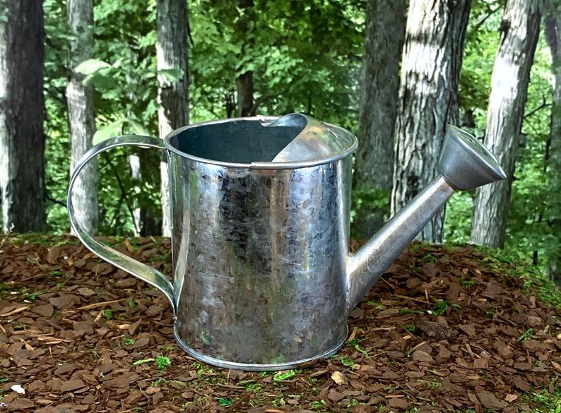 Galvanized Tin Watering Can, Watering Can Planter, 3.5