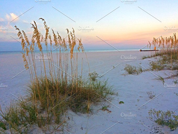 Morning Beach And Sea Oats Photos Early Morning Beach And Sea Oats Photos Early Plants Plant Life Florida Gulf Coast Sky Sunrise Cloud By Pab Photography