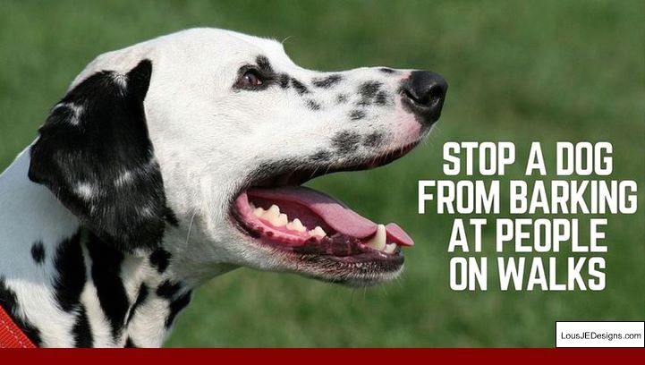Easy Training Tips For Dogs And Pics Of How To Train Your Dog To