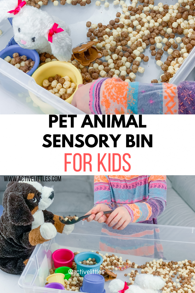 Pet Animal Sensory Bin For Kids Active Littles Pets Preschool Theme pet-animal-sensory-bin-for-kids-active-littles-pets-preschool-theme