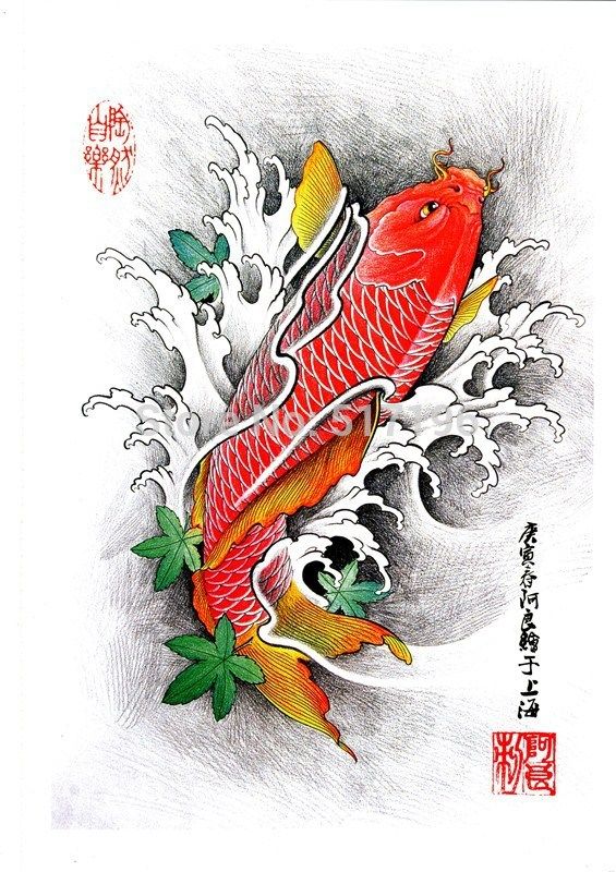 Aliexpress Com Buy Pdf Format Tattoo Book Pages Beautiful Koi Fish Flower Tattoo Designs Aliexpress Com Buy Pdf Format Tattoo Book Pages Beautiful Koi Fish Flower Tattoo Designs