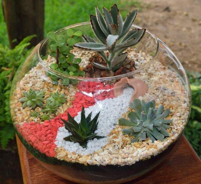Terrário – Jardins em Miniatura