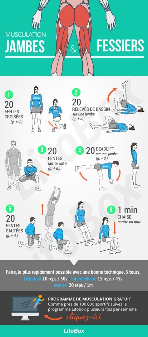 Musculation jambes et fessiers (PDF à télécharger Musculation jambes et fessiers (PDF à télécharger
