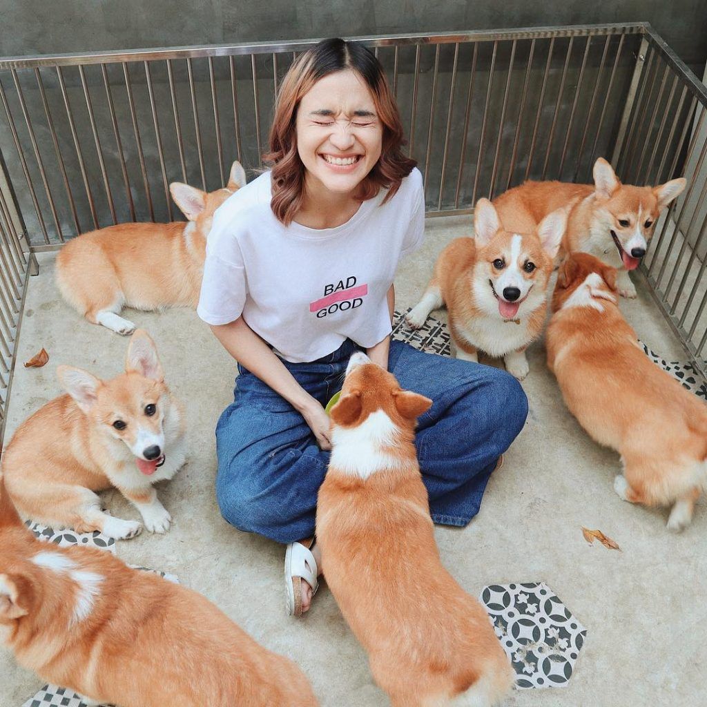 Woman Opens A Corgi Cafe After A Surprise Litter Of Pups And The