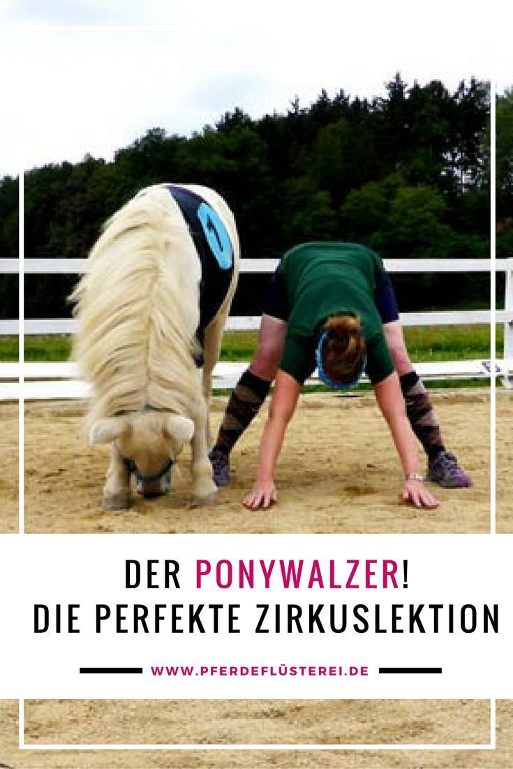 Pferdespiele Zum Reiten Pferdespiele Zum Reiten