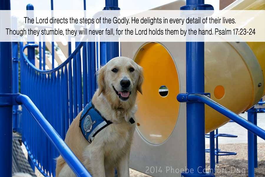 Phoebe Comfort Dog (Facebook via LCC K9 Comfort Dogs) Therapy dogs