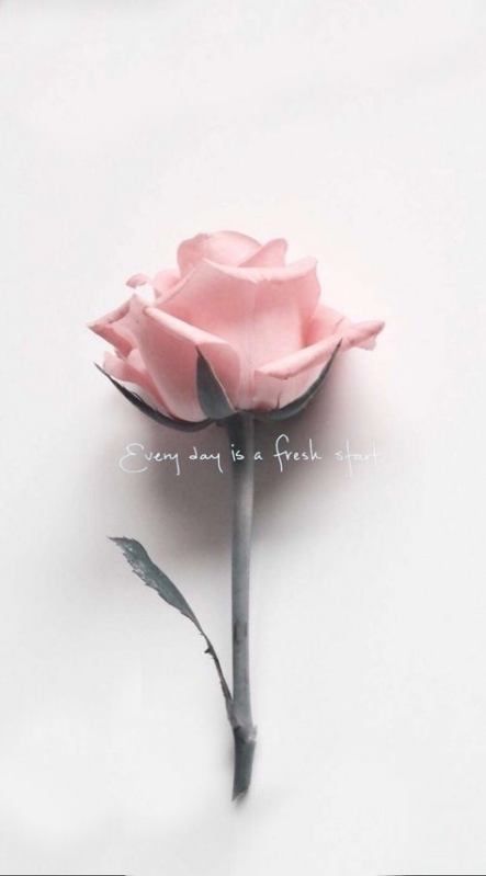 Flowers Background Iphone Photography Life 23 Trendy Ideas #flowersbackgroundiphone