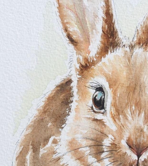 Bunny Cute Rabbit Original Watercolor Painting Wall Art By Artiart