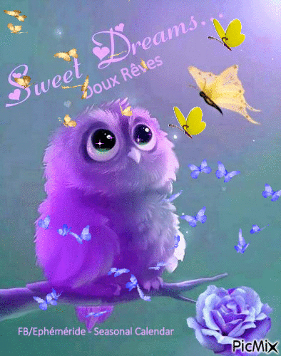 mercredi 22 A917d196bce639b7185ed2bae0ae5aa7