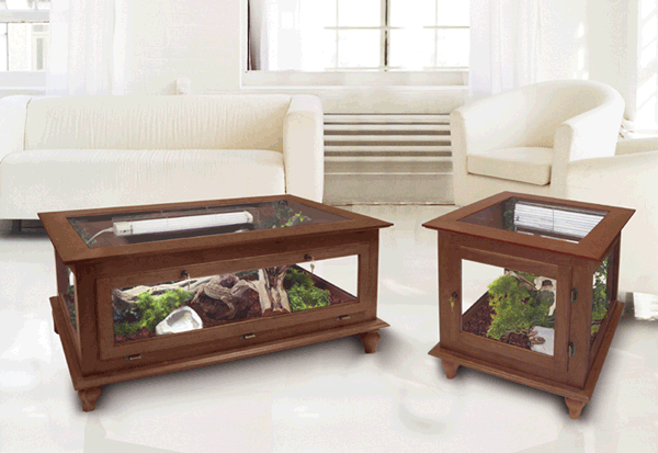 Coffee Table Reptile Cage 24 X48 X24 Bearded Dragon Pet Snake Coffee Table Reptile Cage 24 X48 X24, Coffee Table Snake Enclosure