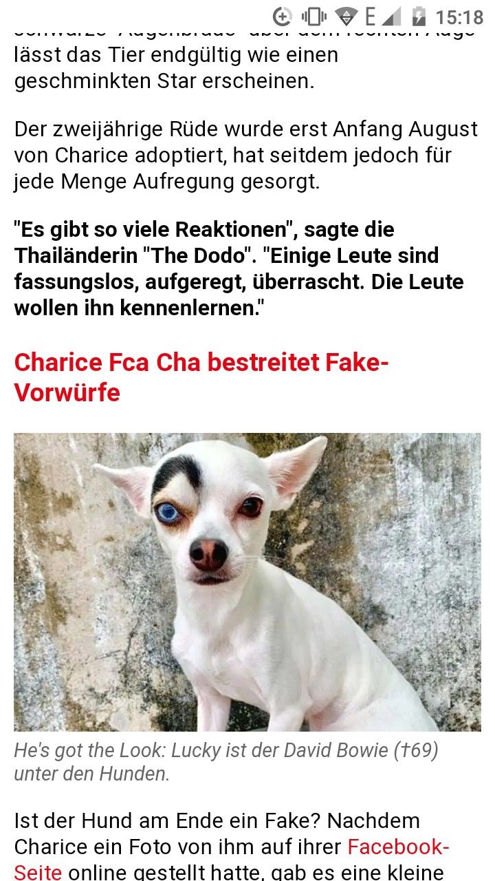 Tiere kennenlernen