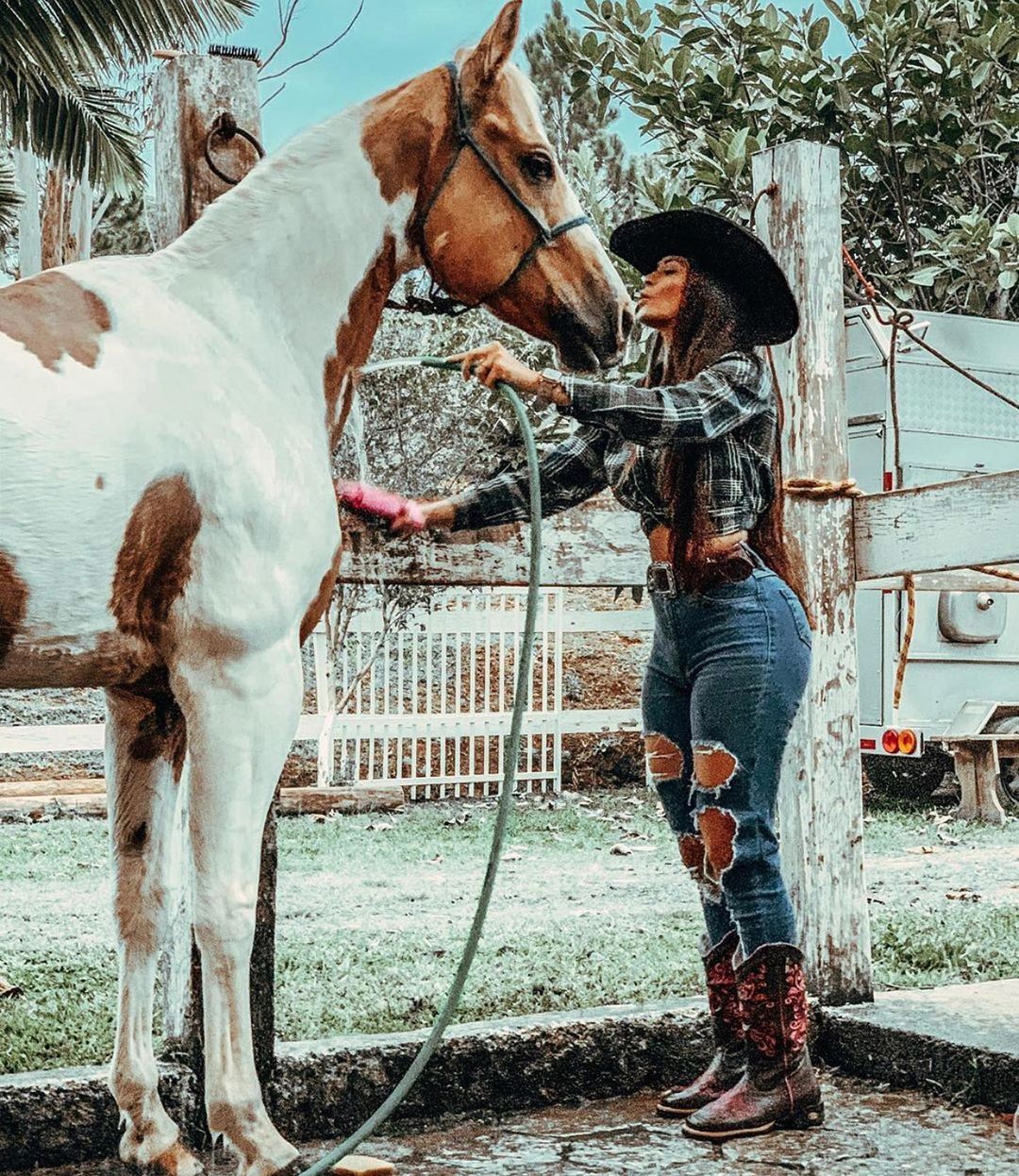Texas Rangers, Admiral, Horses, Instagram, Animals, Tops, Hillbilly, Night, I Like You