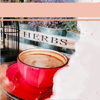 E L İ F B U L U C U (@coffeeelifeee) • Instagram fotoğrafları ve videoları Coffee Lovers, French Press, Fendi, Coffee Maker, Kitchen Appliances, Herbs, Tableware, Instagram, Coffee Maker Machine