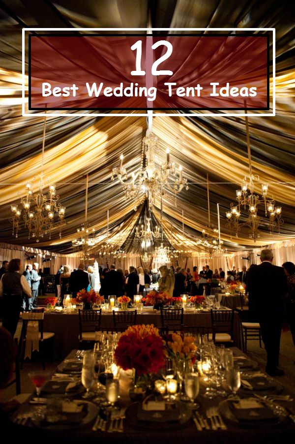 Bluehost Com Tent Wedding Tent Decorations Wedding Tent Bluehost Com Tent Wedding Tent Decorations Wedding Tent