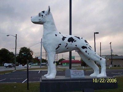 This 20 Foot Tall Fiberglass Great Dane Stands In Front Of The