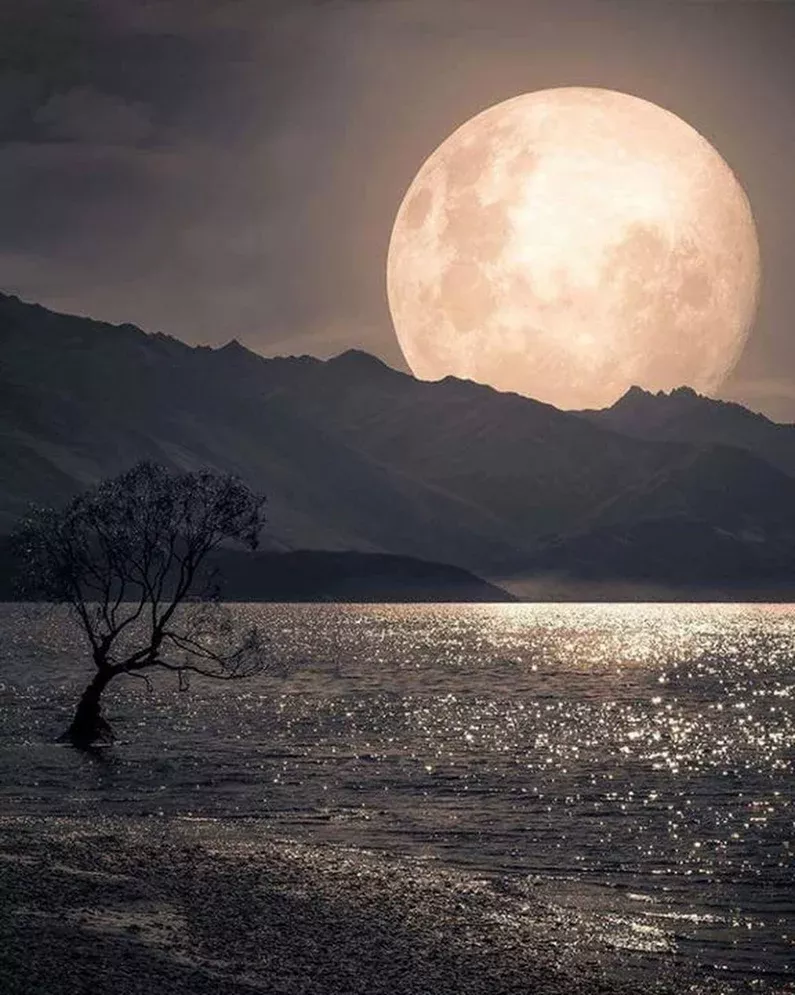 Astounding Moonlight Painting Night Skies Beautiful Moon Astounding Moonlight Painting Night Skies Beautiful Moon