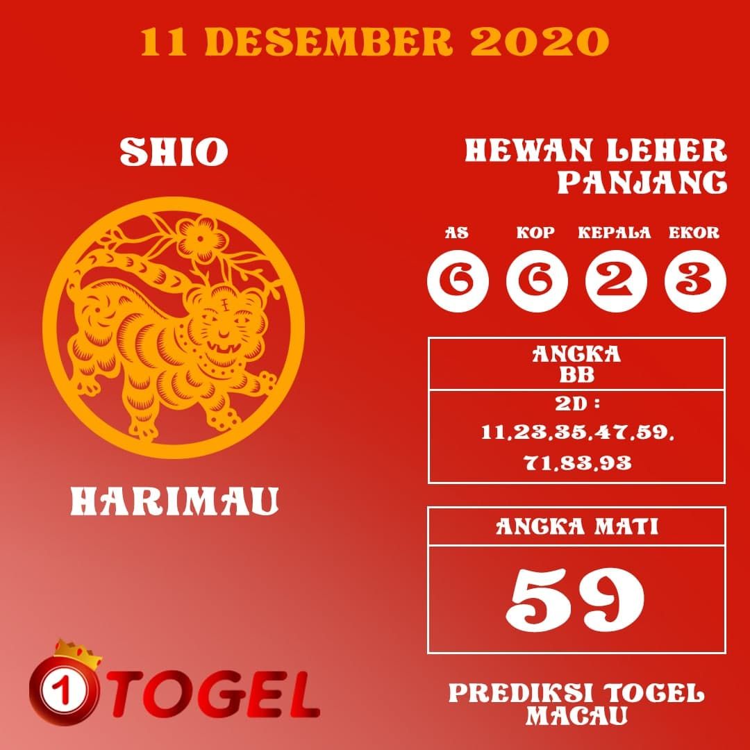 Rumus Kuno Togel 4d Guru Galeri Buku Buku Gambar Ilmu Sosial