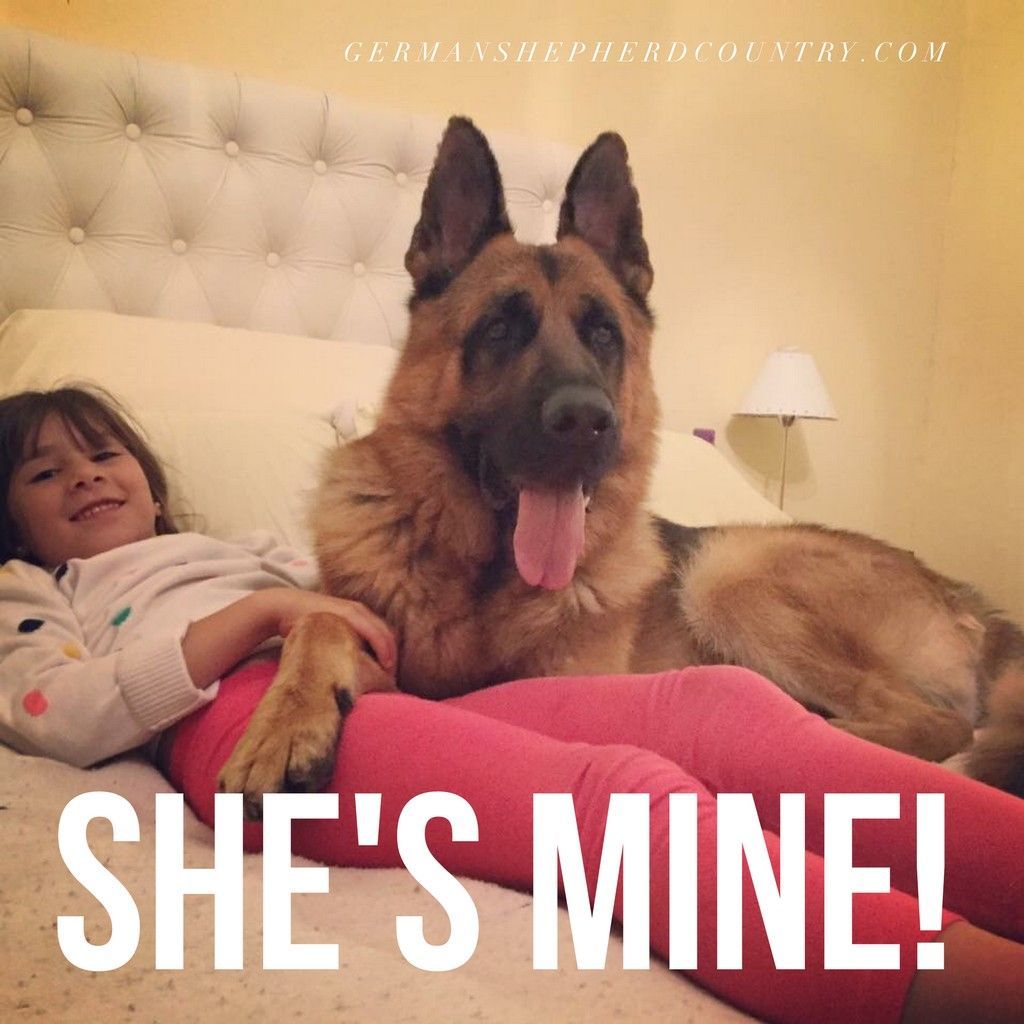 Any Questions Kids Loved By Gaston Martinez Germanshepherd