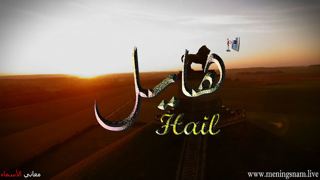 معنى اسم هايل وصفات حامل هذا الإسم Hail Infiniti Logo Vehicle Logos Poster