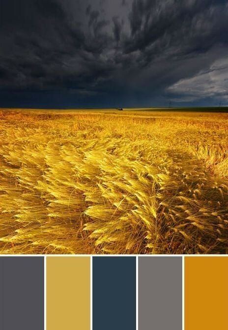 County Road 407 10 fall color combinations to get us excited about fall gathered by CountyRoad407.com Color Palette Yellow, Color Schemes Colour Palettes, Colour Pallette, Color Combos, Best Colour Combinations, Navy Color, Yellow Color Schemes, Relaxing Color Schemes, Mustard Color Scheme